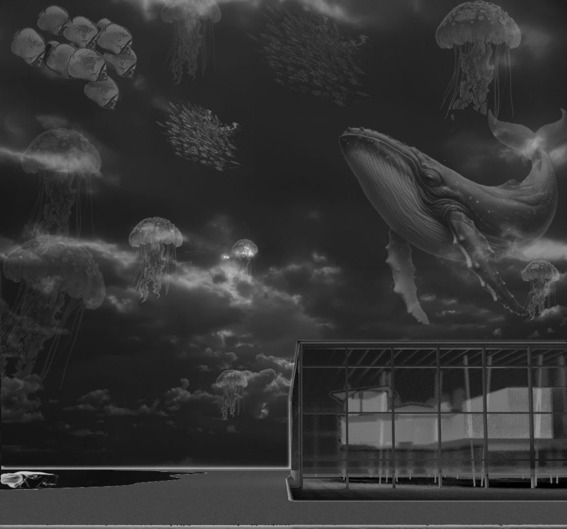 Symbiotic Seas: Marine Conservation Awareness Center